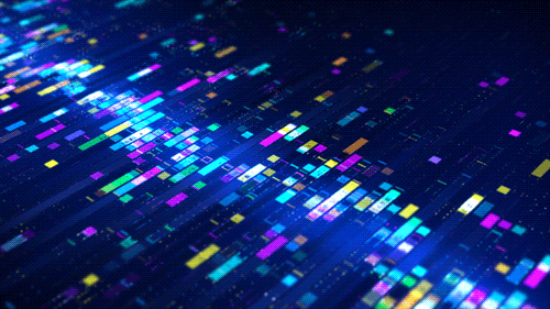 Konke team in action